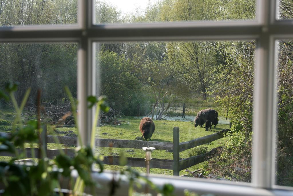 Ostseestuev Boiensdorf Oda fotoğraf